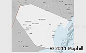 Gray 3D Map of Al Wusta