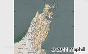 Satellite Map of Musandam, semi-desaturated