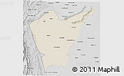 Shaded Relief 3D Map of Dera Ismail Khan, desaturated
