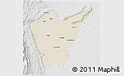 Shaded Relief 3D Map of Dera Ismail Khan, lighten, desaturated