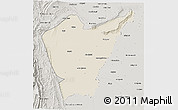 Shaded Relief 3D Map of Dera Ismail Khan, semi-desaturated