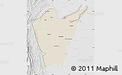 Shaded Relief Map of Dera Ismail Khan, lighten, desaturated