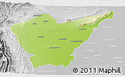 Physical Panoramic Map of Dera Ismail Khan, lighten, desaturated