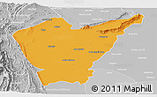 Political Panoramic Map of Dera Ismail Khan, lighten, desaturated