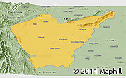 Savanna Style Panoramic Map of Dera Ismail Khan