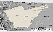 Shaded Relief Panoramic Map of Dera Ismail Khan, darken, desaturated