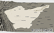 Shaded Relief Panoramic Map of Dera Ismail Khan, darken