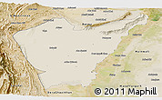 Shaded Relief Panoramic Map of Dera Ismail Khan, satellite outside