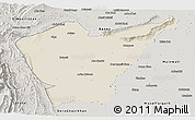 Shaded Relief Panoramic Map of Dera Ismail Khan, semi-desaturated