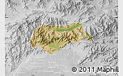 Satellite Map of Malakand P.A., lighten, desaturated