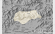 Shaded Relief Map of Malakand P.A., darken, desaturated