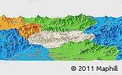 Shaded Relief Panoramic Map of Malakand P.A., political outside