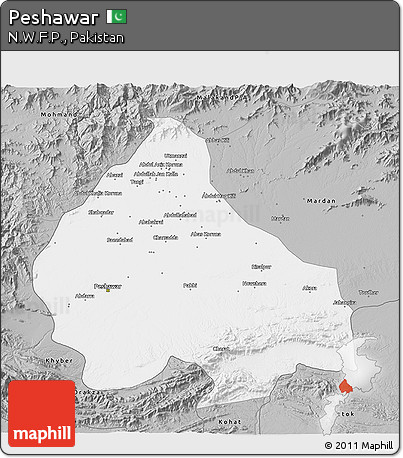 Gray 3D Map of Peshawar