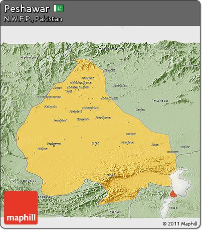 Savanna Style 3D Map of Peshawar
