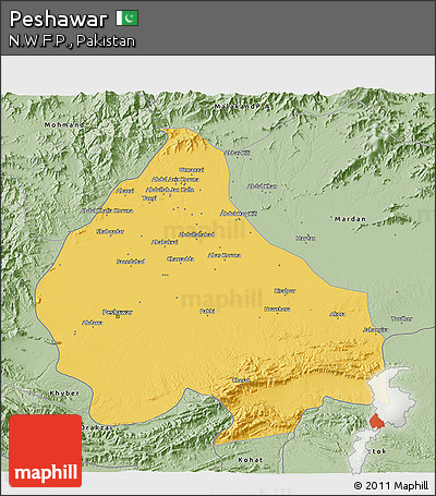 Savanna Style 3D Map of Peshawar