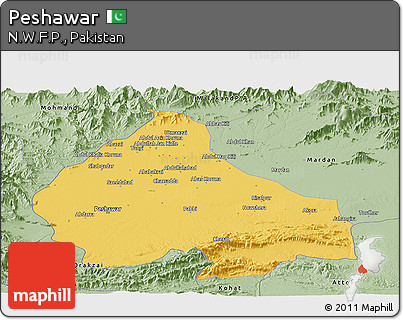 Savanna Style Panoramic Map of Peshawar