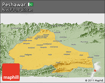 Savanna Style Panoramic Map of Peshawar