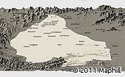 Shaded Relief Panoramic Map of Peshawar, darken