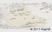 Shaded Relief Panoramic Map of Peshawar, lighten