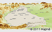 Shaded Relief Panoramic Map of Peshawar, physical outside