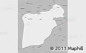 Gray 3D Map of Bahawalpur