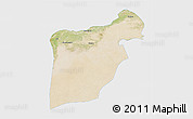 Satellite 3D Map of Bahawalpur, single color outside