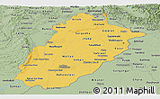 Savanna Style Panoramic Map of Punjab