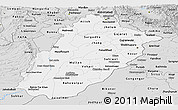 Silver Style Panoramic Map of Punjab