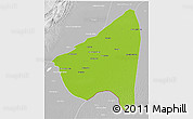 Physical 3D Map of Rahim Yar Khan, lighten, desaturated