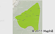 Physical 3D Map of Rahim Yar Khan, lighten, semi-desaturated