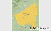 Savanna Style 3D Map of Rahim Yar Khan