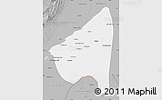 Gray Map of Rahim Yar Khan