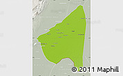 Physical Map of Rahim Yar Khan, lighten, semi-desaturated