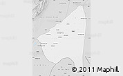 Silver Style Map of Rahim Yar Khan
