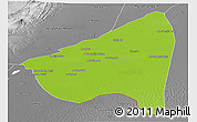 Physical Panoramic Map of Rahim Yar Khan, desaturated