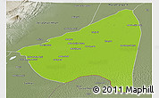 Physical Panoramic Map of Rahim Yar Khan, semi-desaturated