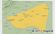 Savanna Style Panoramic Map of Rahim Yar Khan