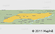 Savanna Style Panoramic Map of Jakobabad