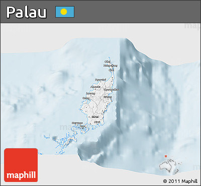 Gray 3D Map of Palau