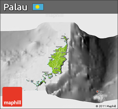 Physical 3D Map of Palau, desaturated