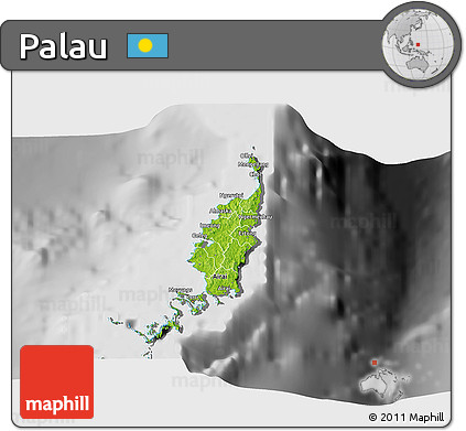 Physical 3D Map of Palau, desaturated