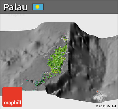 Satellite 3D Map of Palau, desaturated