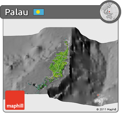 Satellite 3D Map of Palau, desaturated