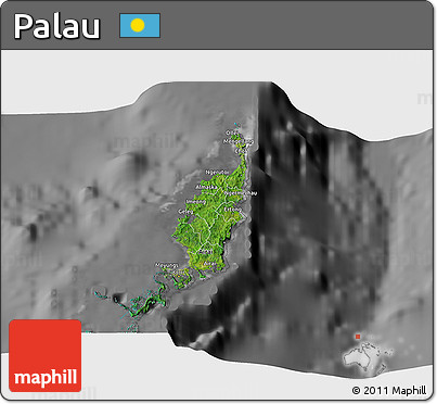 Satellite 3D Map of Palau, desaturated