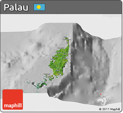 Satellite 3D Map of Palau, lighten, desaturated