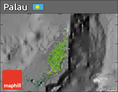 Satellite Map of Palau, desaturated