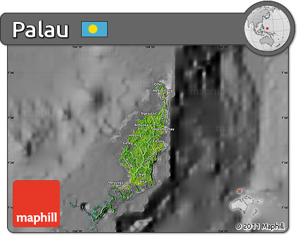 Satellite Map of Palau, desaturated