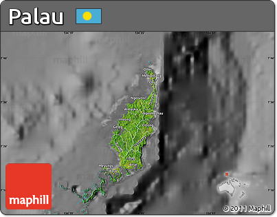 Satellite Map of Palau, desaturated