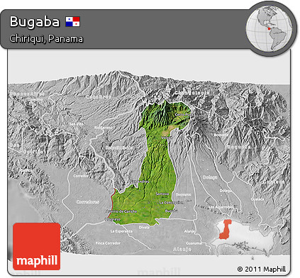Satellite 3D Map of Bugaba, lighten, desaturated