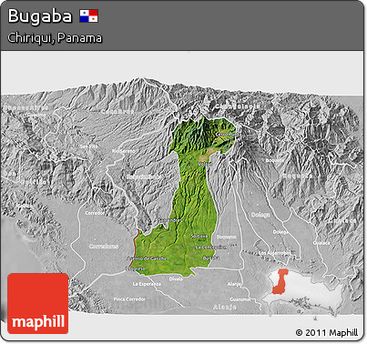 Satellite 3D Map of Bugaba, lighten, desaturated